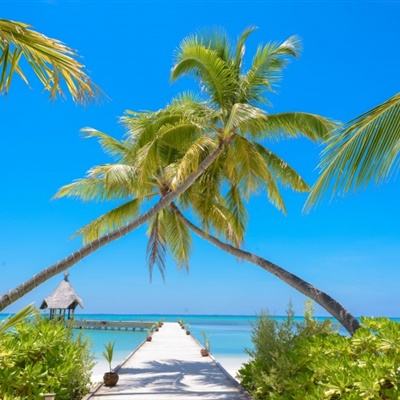 188BET亚洲体育投注