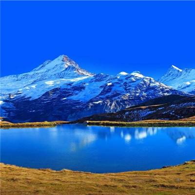 云平台appapp下载