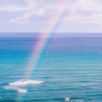 OB官网登录入口