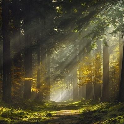 爱体育官方appapp下载