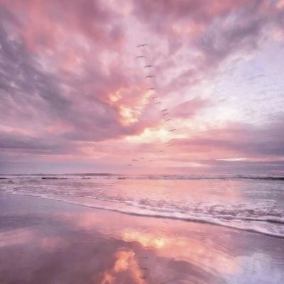 威尼斯欢乐娱人棋牌app下载