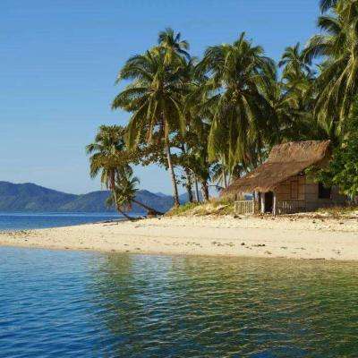 天博tb·体育综合下载手机版截图