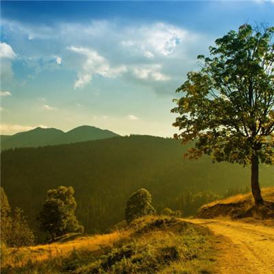 bat365手机app下载